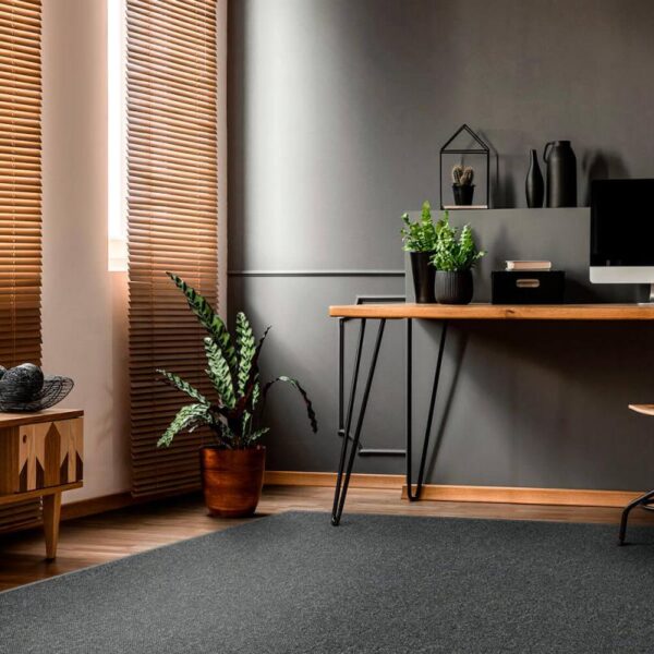 1649343894cto-inclusive-found-office-home - ASTRAL VEGA